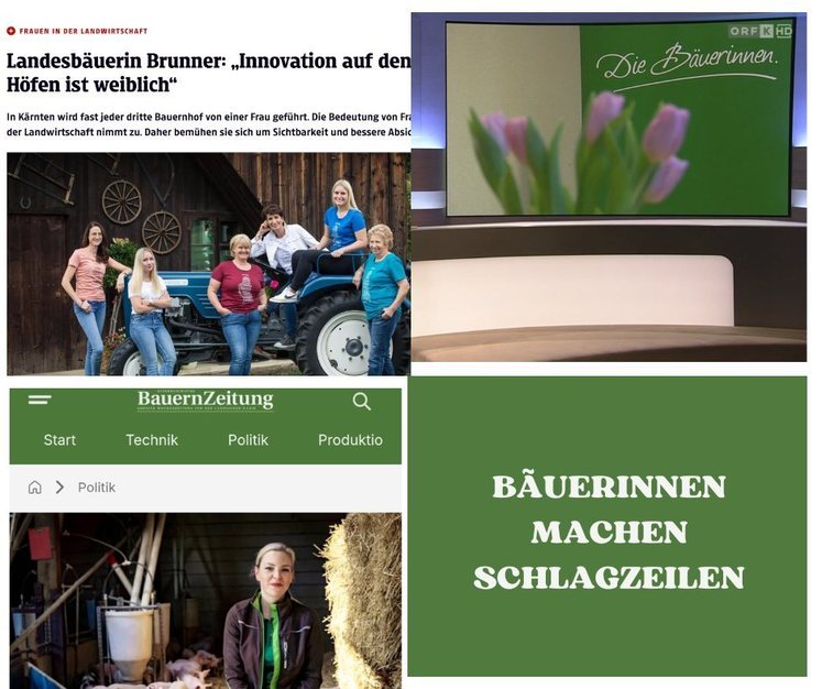 Bäuerinnen Kärntens.jpg