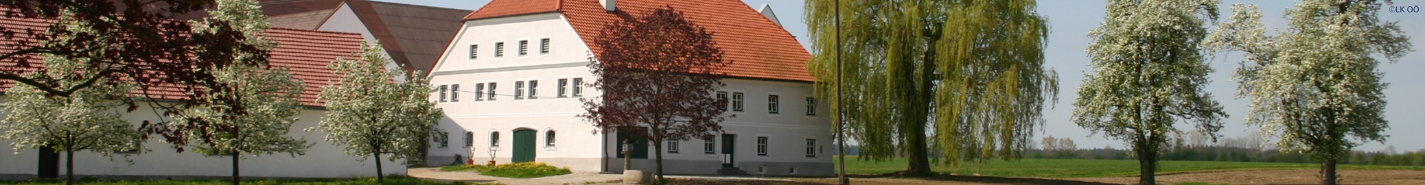 HEADER Über uns Frühling 3