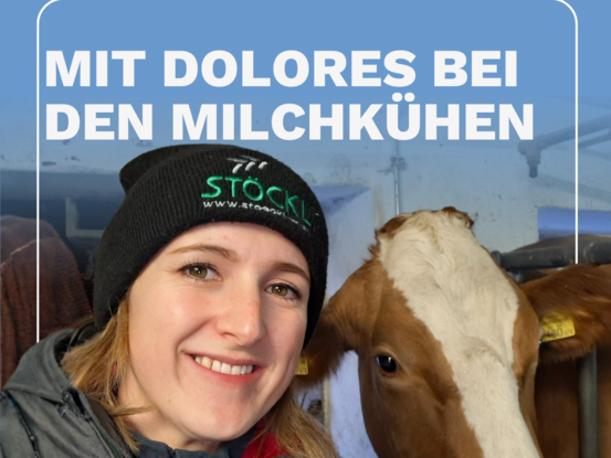 Cover Dolores Angerer