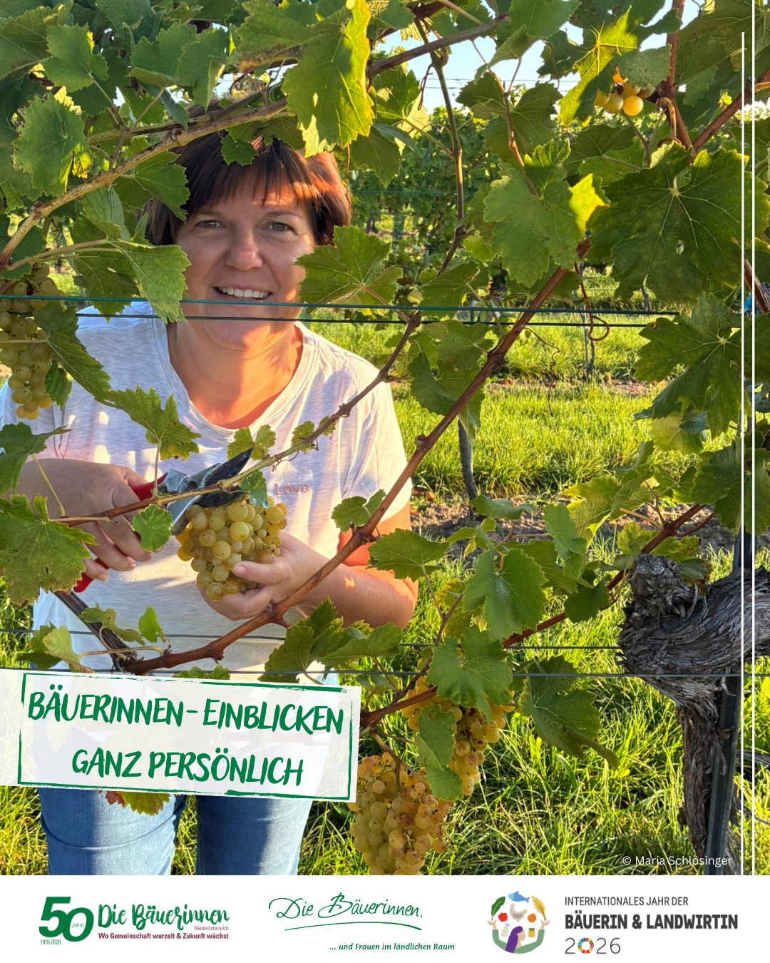 Bäuerinnen-Einblicke ganz persönlich.png