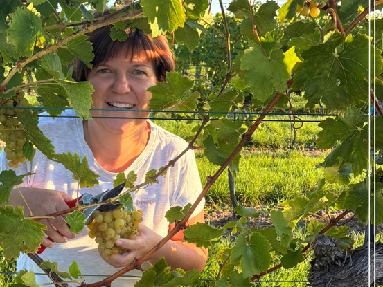 Bäuerinnen-Einblicke ganz persönlich
