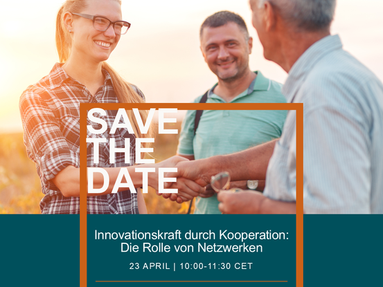 Innovationskraft durch Kooperation - Die Rolle von Netzwerken © ATTRACTISS