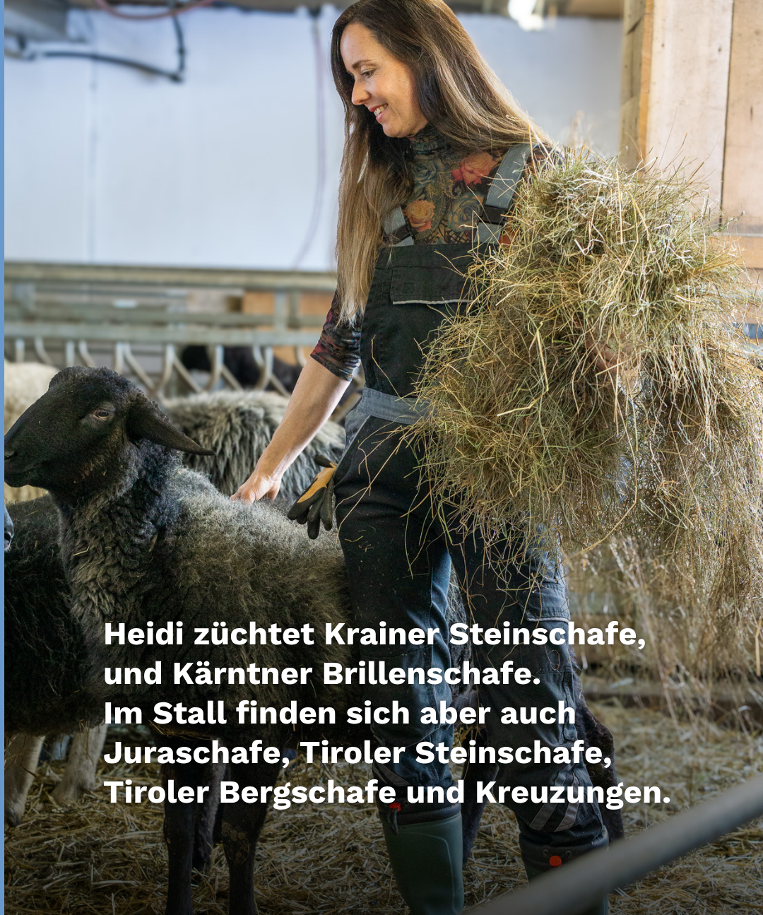 Heidi Mitterlehner.png