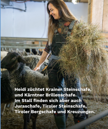 Heidi Mitterlehner.png