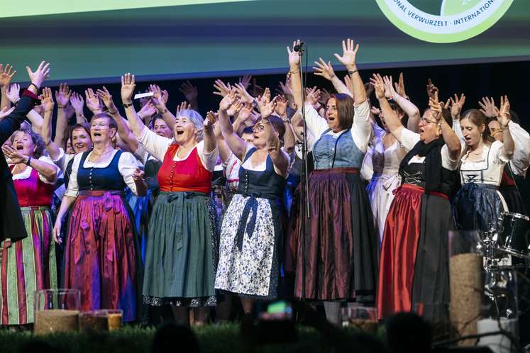 ram, pam, pam, pam und ganz viel Wirkung.jpg