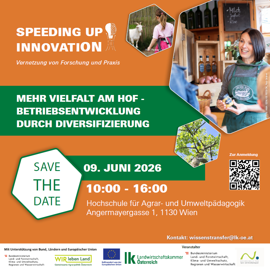 Speeding up Innovation Diversifizierung.png