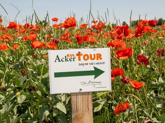 Symbolbild AckerkulTOUR © Bäuerinnen Niederösterreich
