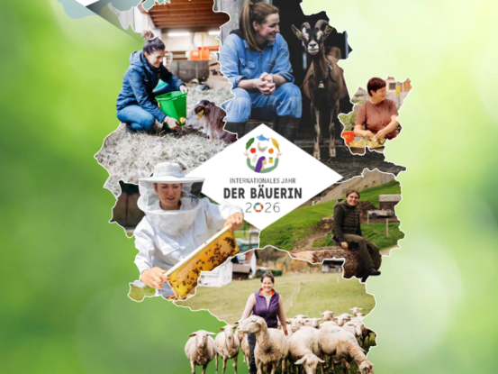 Land- und Forstwirtschaftsbericht Vorarlberg 2026 © Landesregierung Vorarlberg