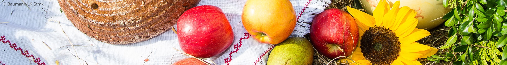 HEADER - Herbst für ÜBER UNS © Baumann LK Stmk