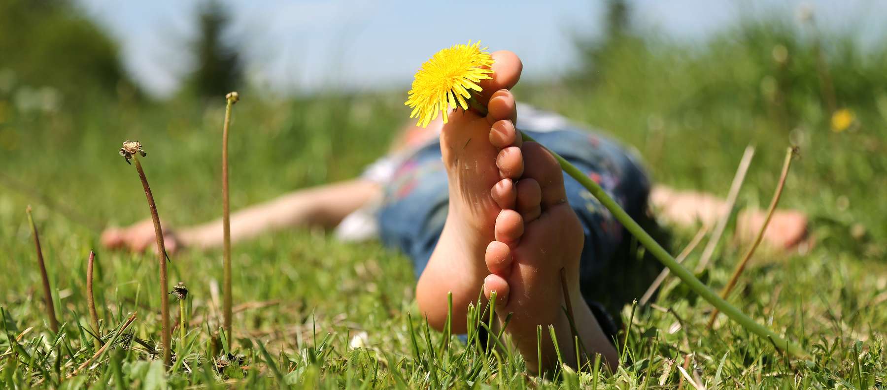 Entspannen in der Wiese - Auszeit.jpg