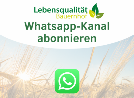 Whatsapp-Kanal- LQB.png