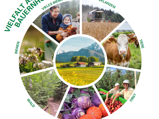 Aktionstag 2026 Plakat © Bäuerinnen Österreich