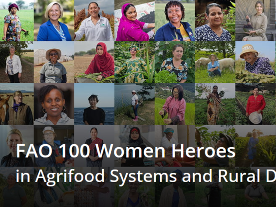 Screenshot 100 Women Heroes © FAO