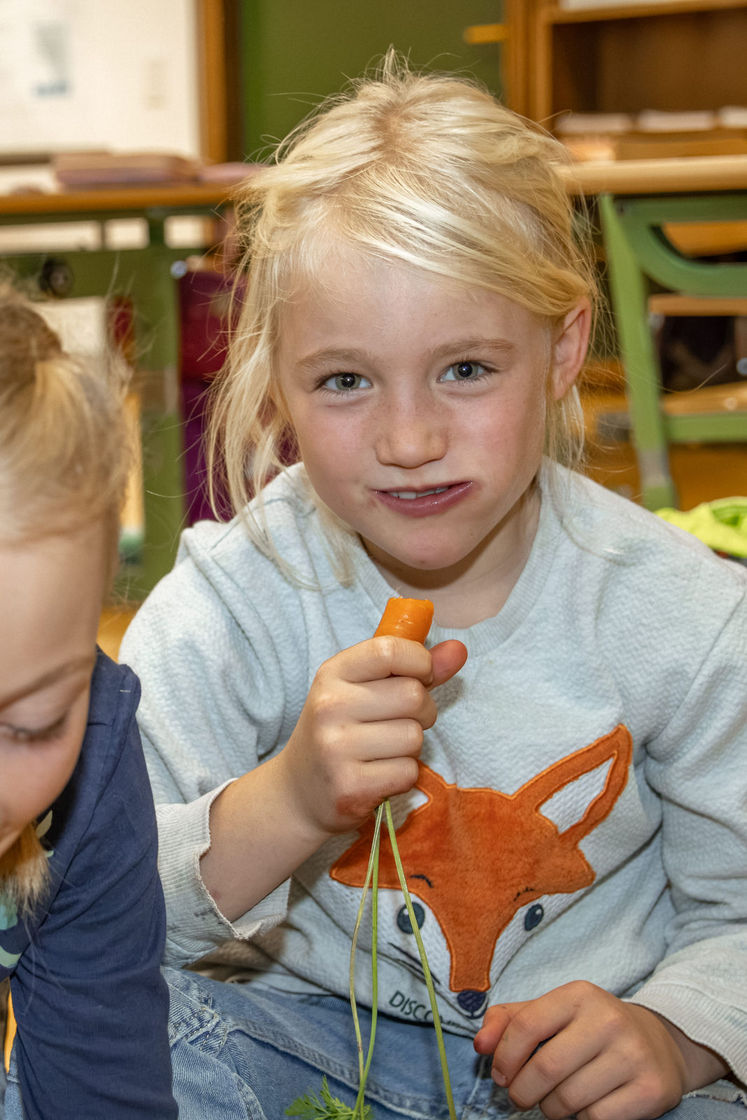 50 - Aktionstag 16.10.2026-50.jpg