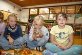 65 - Aktionstag 16.10.2026-65.jpg