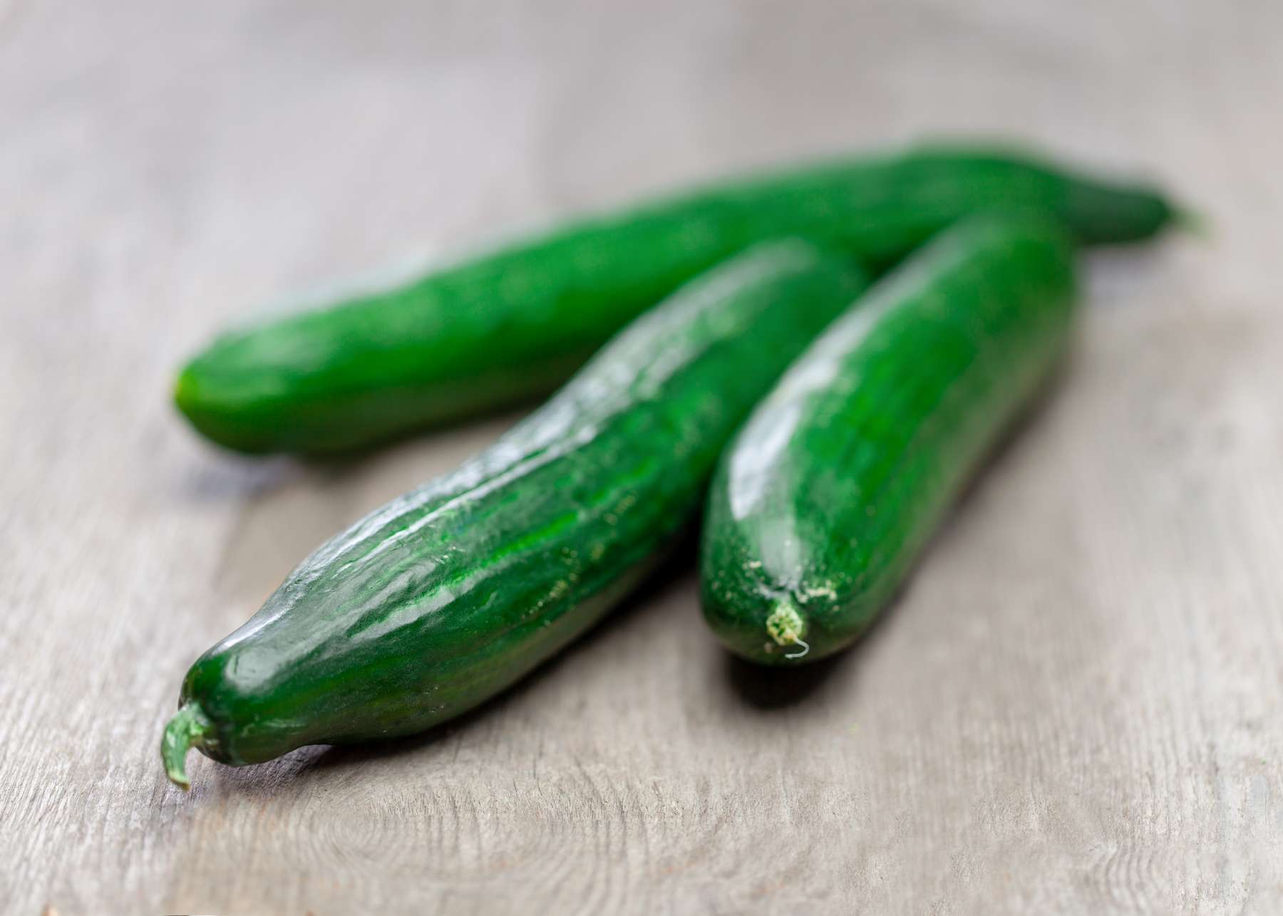 Gurke Verlassdidrauf At Saisonkalender