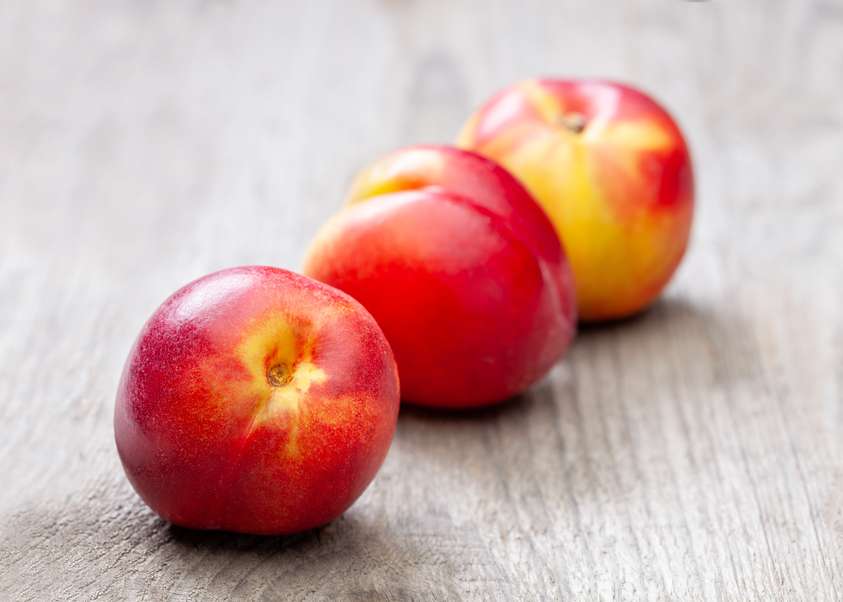 Nektarine Verlassdidrauf At Saisonkalender