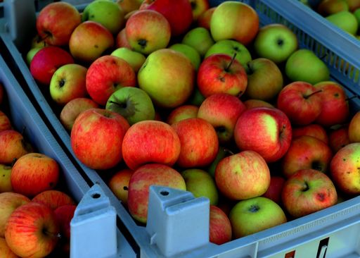 Apfel_pixabay_3697537_1920 © pixabay