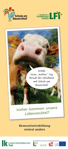 Kindergeburtstag Bauernhof Amazon De