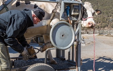 [1773836833256964.jpg]