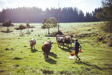 [1774270610573465.jpg]