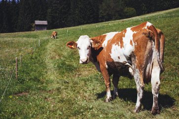 [177427061126612.jpg]