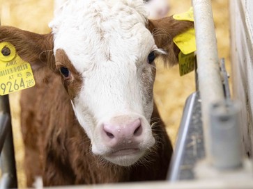 [1774954961472792.jpg]