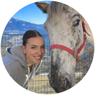 [1775737105132585.png]