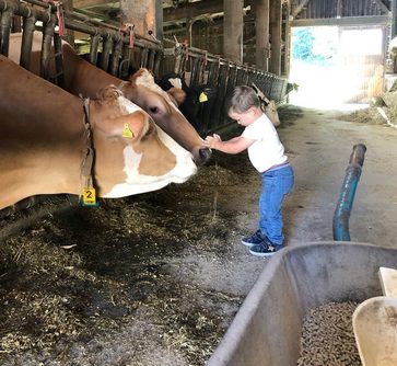 [17758226841776.jpg]