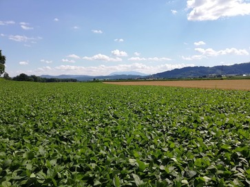 [1776163179218174.jpg]