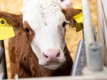 [1776855433869119.jpg]