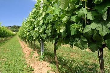 [1516796451125536.jpg]