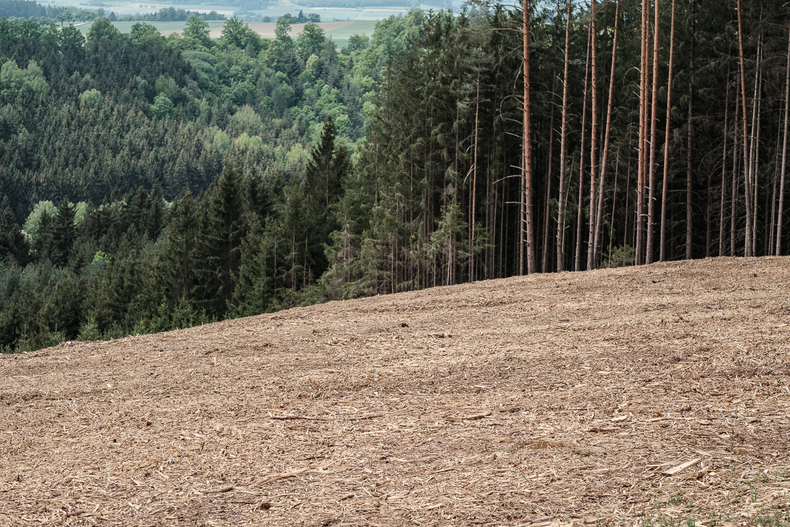 Farminar Borkenkäferbekämpfung Farminar Borkenkäferbekämpfung