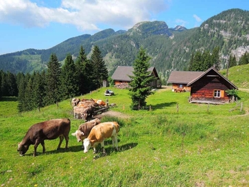 [1527512544944787.jpg]