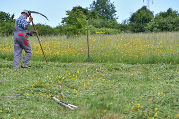 [1553595945090795.jpg]