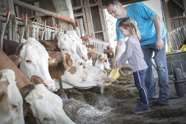 [1556175806676663.jpg]