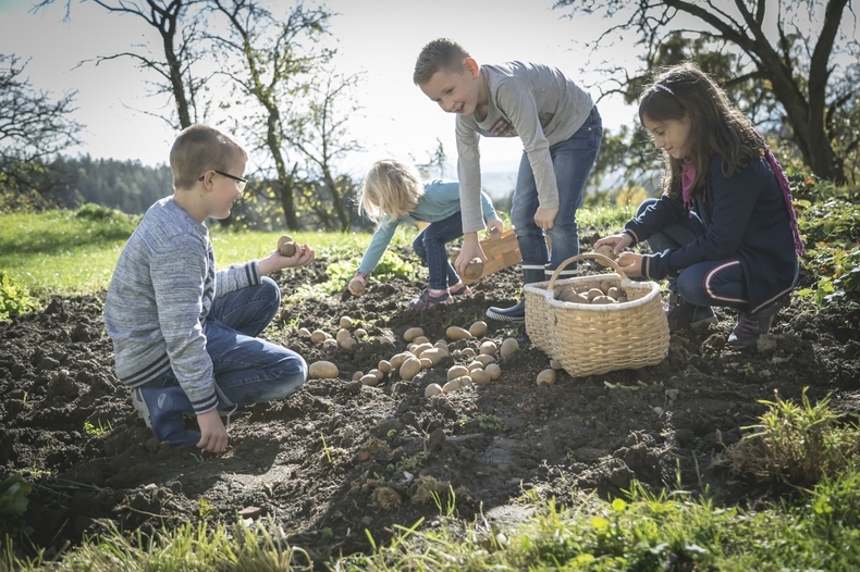 Gartenarbeit.jpg Gartenarbeit.jpg