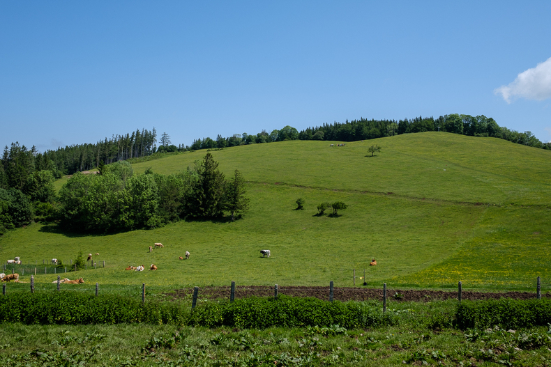 LFI-FARMINAR-HIMMELALM 2019-06-07 002  P9T2037 (c)Gerald PFABIGAN.jpg LFI-FARMINAR-HIMMELALM 2019-06-07 002  P9T2037 (c)Gerald PFABIGAN.jpg