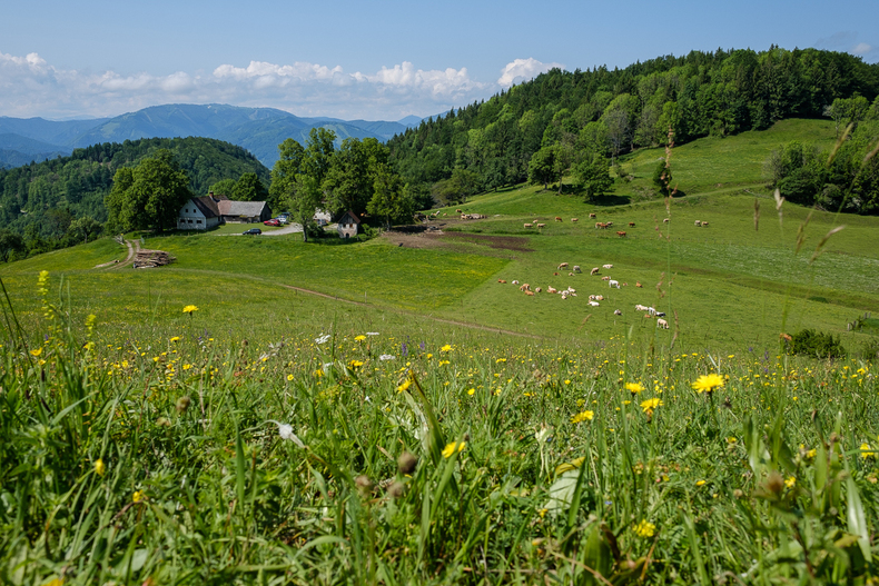 LFI-FARMINAR-HIMMELALM 2019-06-07 007  P9T1863 (c)Gerald PFABIGAN.jpg LFI-FARMINAR-HIMMELALM 2019-06-07 007  P9T1863 (c)Gerald PFABIGAN.jpg