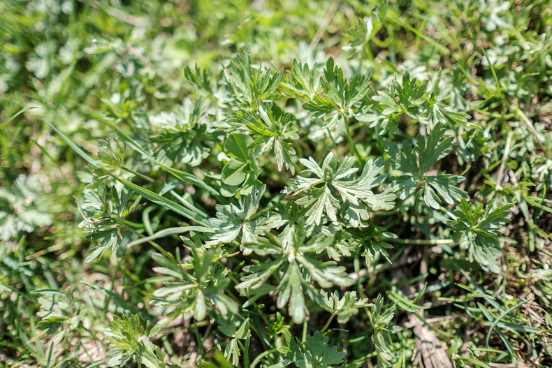 LFI-FARMINAR-RUDNIGALM 2019-06-19 003  P9T3165 (c)Gerald PFABIGAN.jpg LFI-FARMINAR-RUDNIGALM 2019-06-19 003  P9T3165 (c)Gerald PFABIGAN.jpg