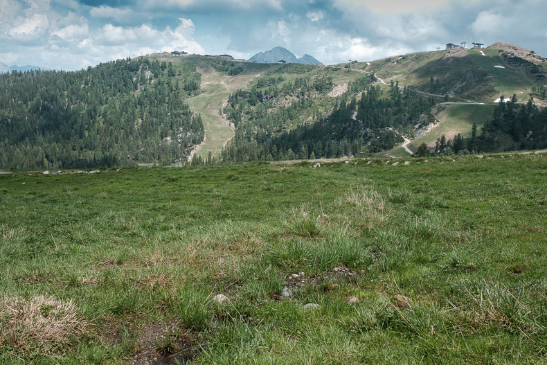 LFI-FARMINAR-RUDNIGALM 2019-06-19 013  P9T3233 (c)Gerald PFABIGAN.jpg LFI-FARMINAR-RUDNIGALM 2019-06-19 013  P9T3233 (c)Gerald PFABIGAN.jpg