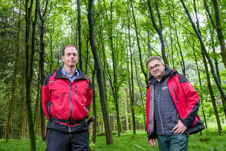 LFI-Farminar - Laubholzbewirtschaftung.jpg LFI-Farminar - Laubholzbewirtschaftung.jpg