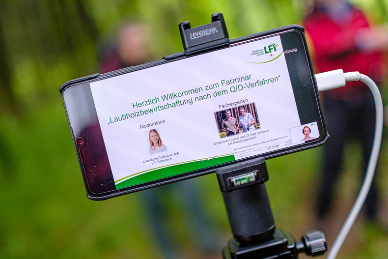 LFI-Farminar - Laubholzbewirtschaftung.jpg LFI-Farminar - Laubholzbewirtschaftung.jpg