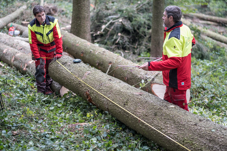 LFI-Farminar Holzauformung.jpg LFI-Farminar Holzauformung.jpg