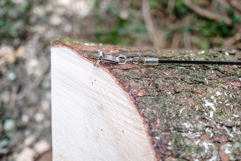LFI-Farminar Holzauformung.jpg LFI-Farminar Holzauformung.jpg