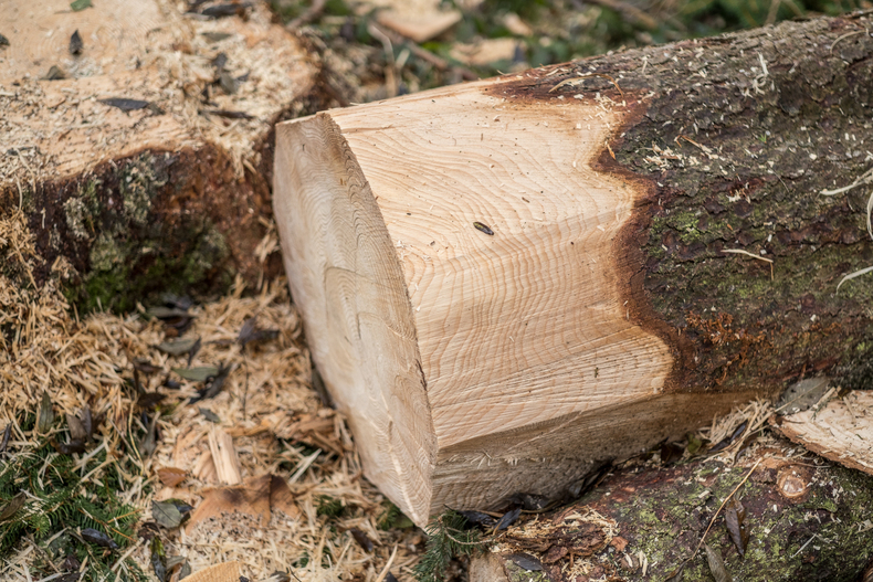 LFI-Farminar Holzauformung.jpg LFI-Farminar Holzauformung.jpg