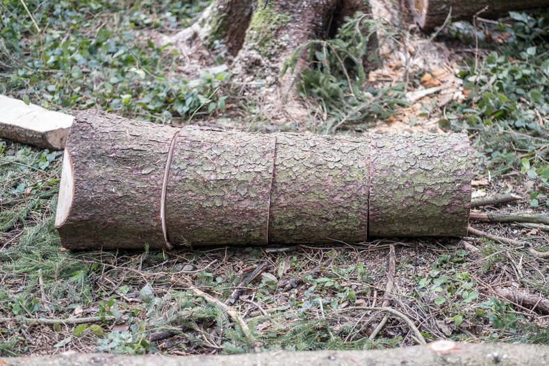 LFI-Farminar Holzauformung.jpg LFI-Farminar Holzauformung.jpg