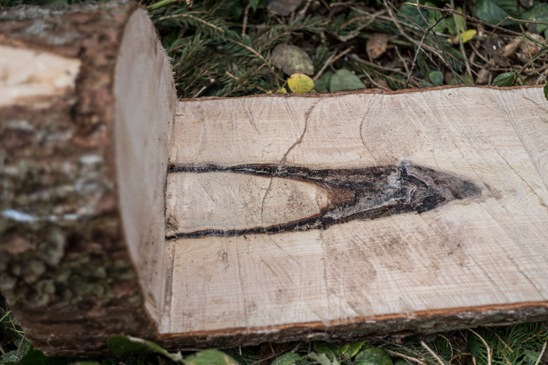LFI-Farminar Holzauformung.jpg LFI-Farminar Holzauformung.jpg