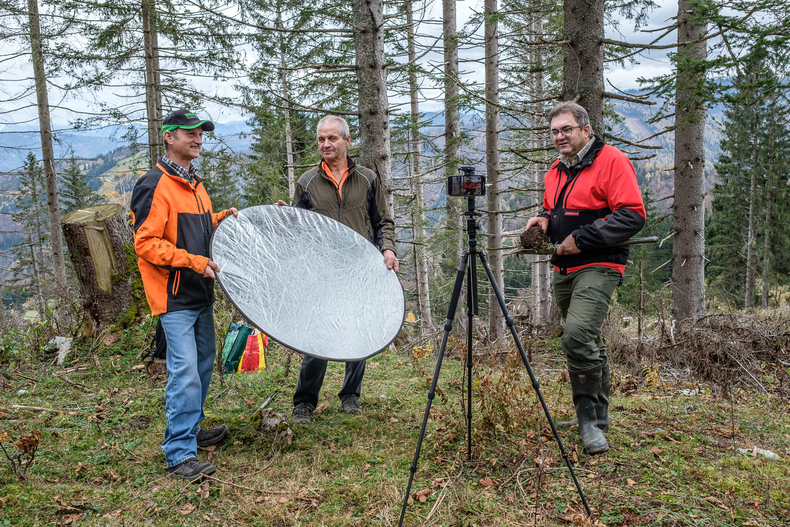 Waldboden, Videos Waldboden, Videos