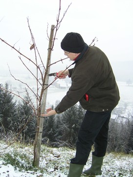 [1639661586076131.jpg]